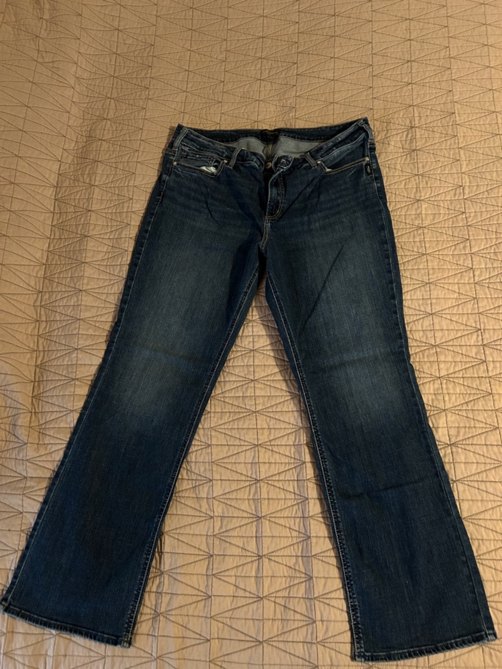 Silver Jeans Dark Blue Flare Jeans